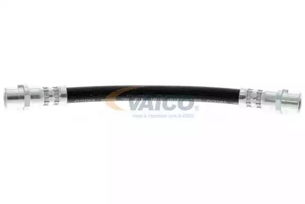 162_V10-4206_02_TD_1