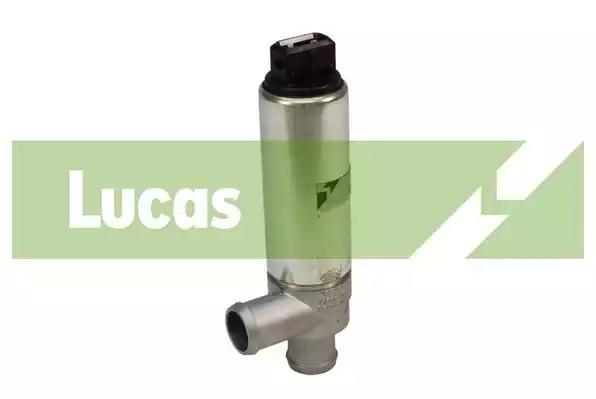 20_IMG_53793_1718650