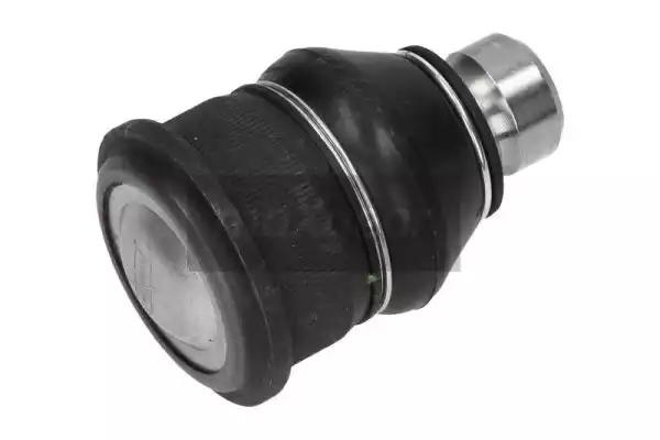 403_5901619526248_LARGE